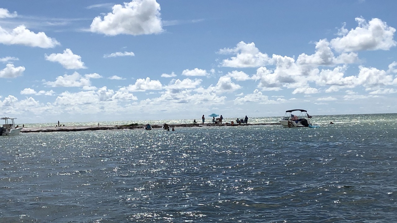 Photo of Others in Gulf Harbors