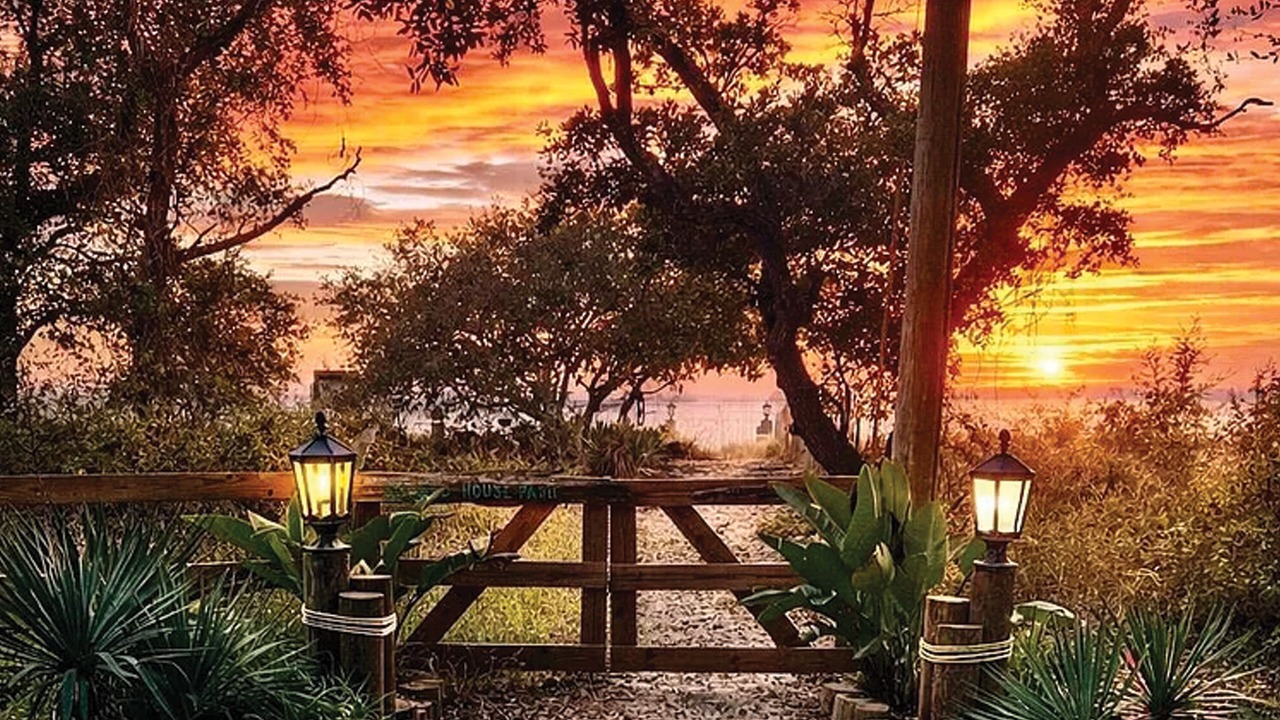 Photo of Outdoor in Ocean Springs