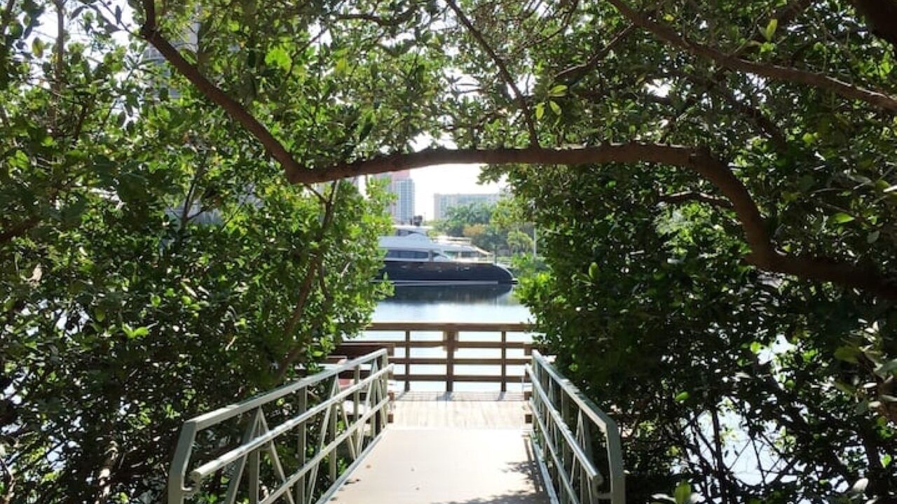 Photo of Others in Aventura