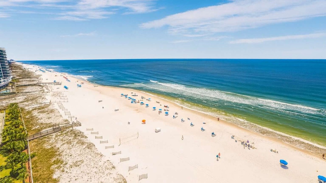 Photo of Others in Orange Beach East