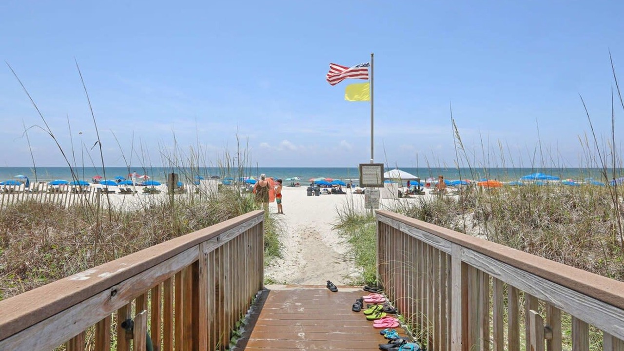 Photo of Others in Orange Beach East