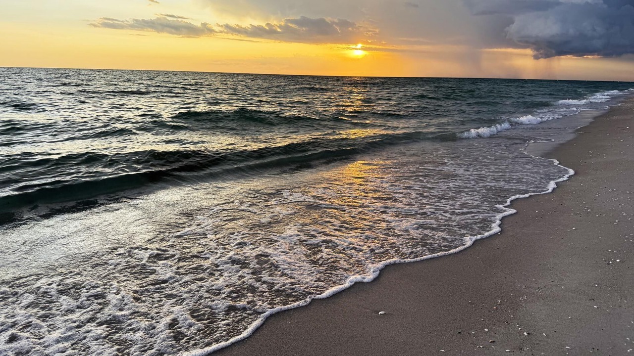 Photo of Others in Golden Beach