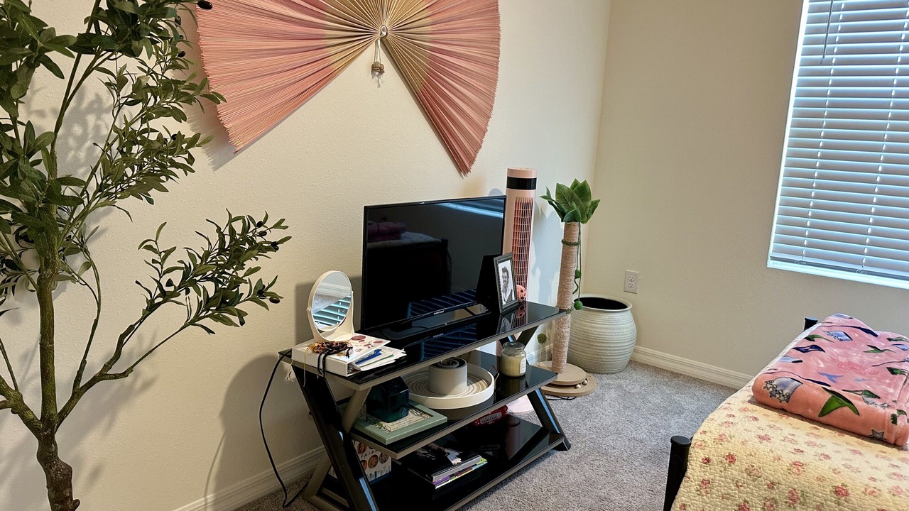 Photo of Bedroom in Wesley Chapel