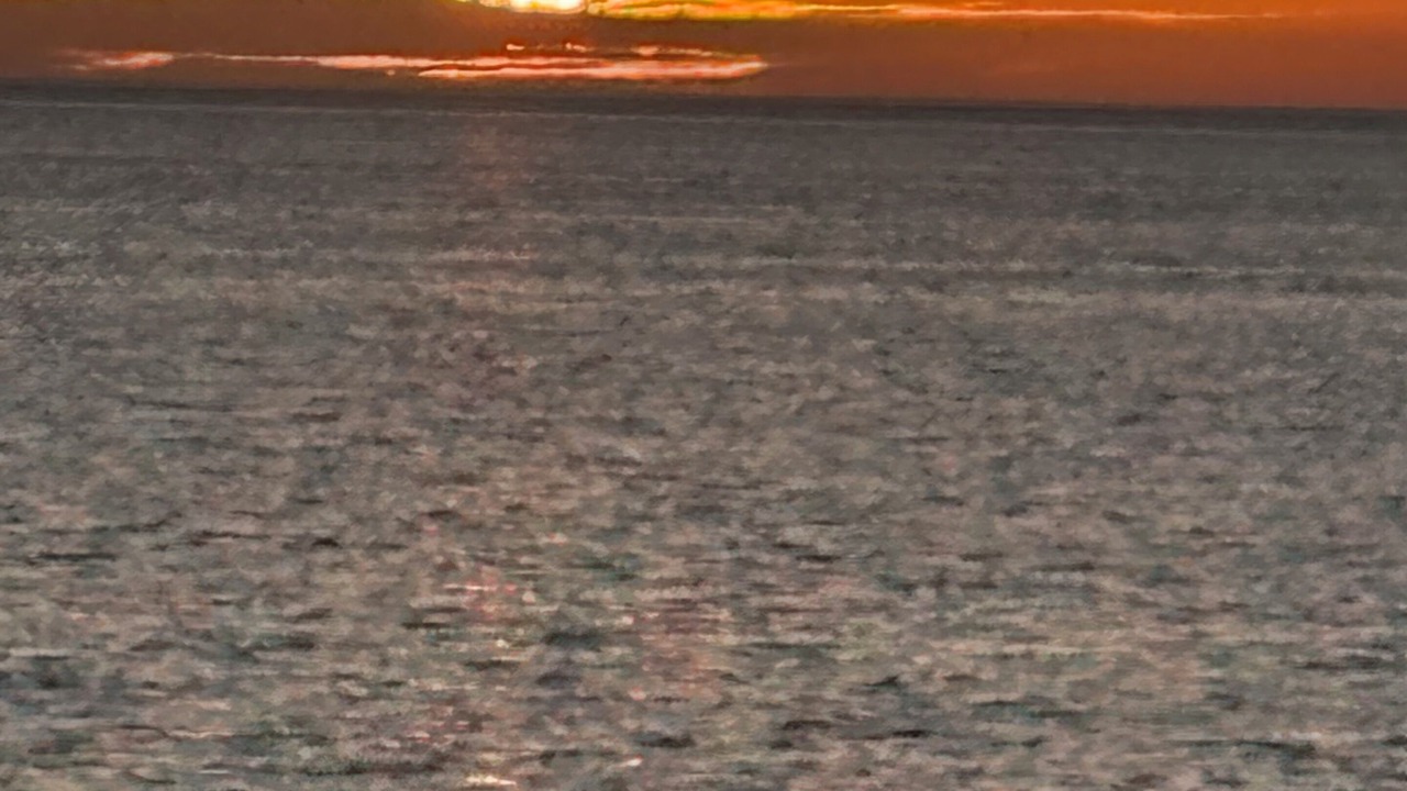 Photo of Others in Anclote Keys