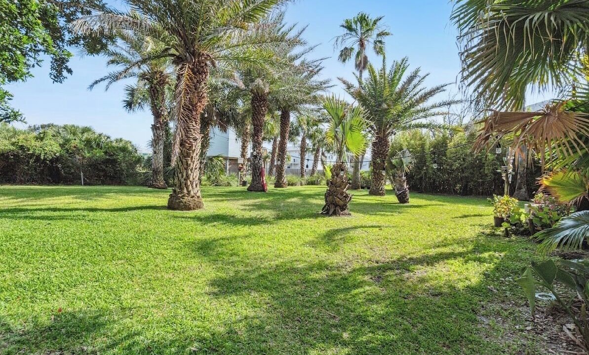 Photo of Outdoor in Toilla Segunda