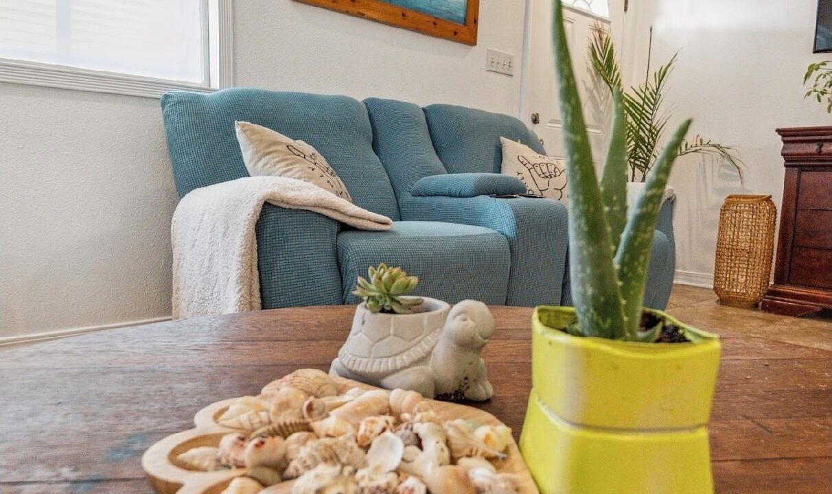 Photo of Livingroom in Toilla Segunda
