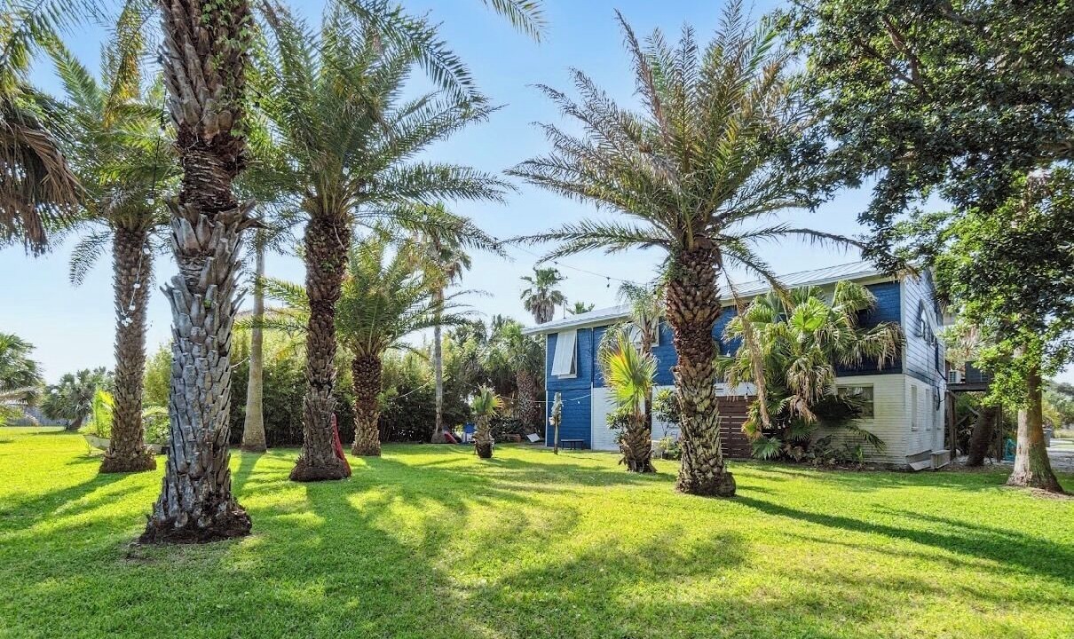 Photo of Outdoor in Toilla Segunda