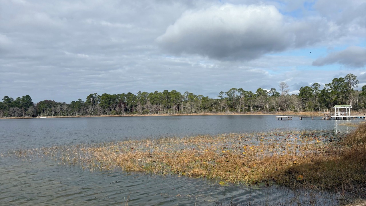 Photo of Others in Silver Springs
