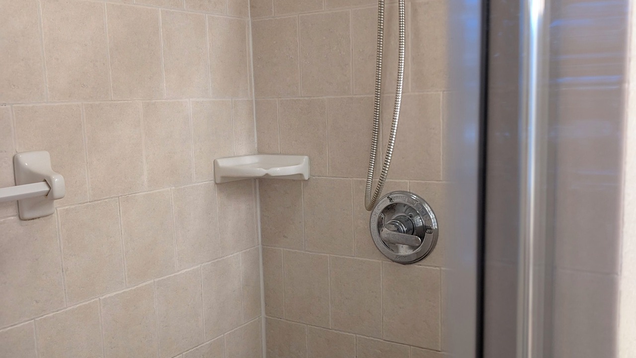 Photo of Bathroom in Lutz