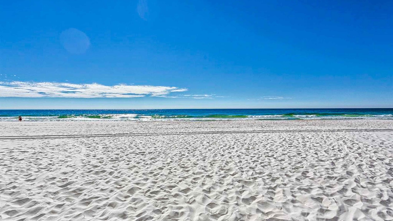 Photo of Others in Orange Beach East