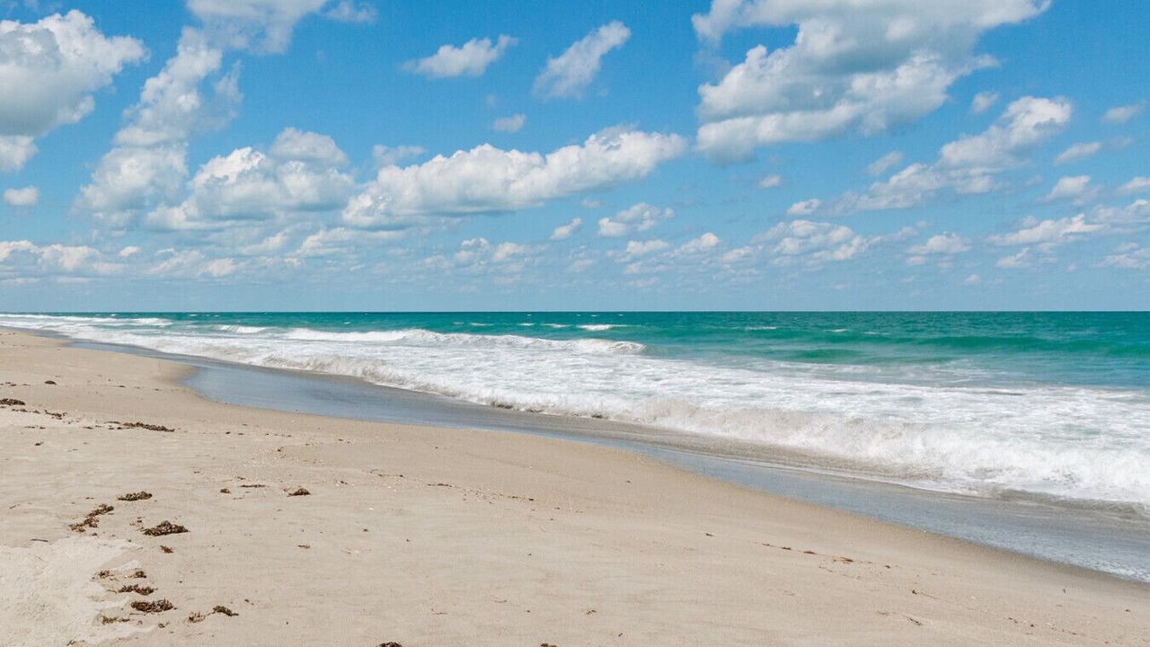 Photo of Others in Crescent Beach