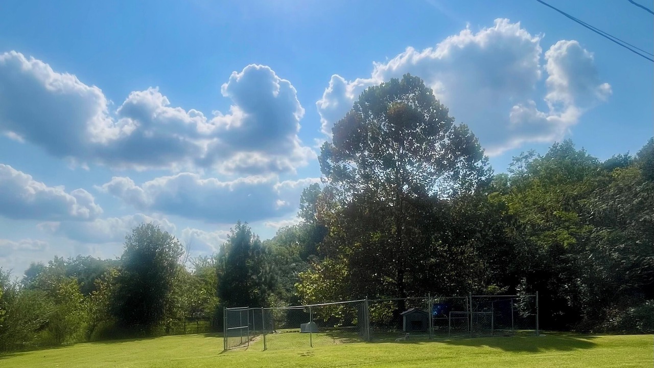 Photo of Outdoor in Hillsboro