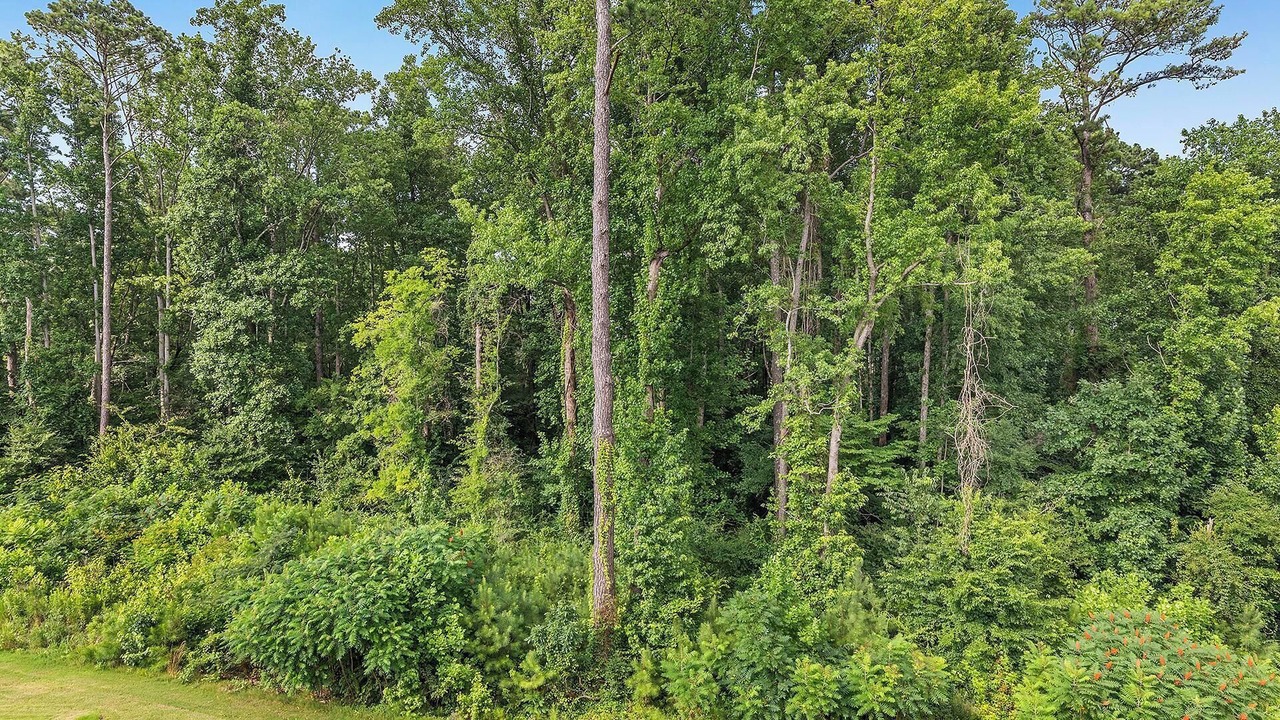 Photo of Others in Madison