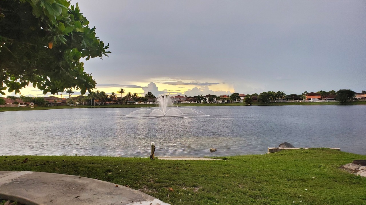Photo of Others in Tamiami