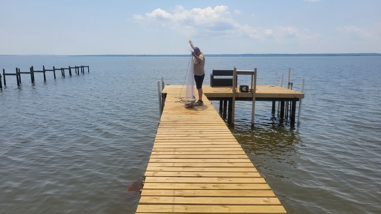 Photo of Others in Florida Panhandle