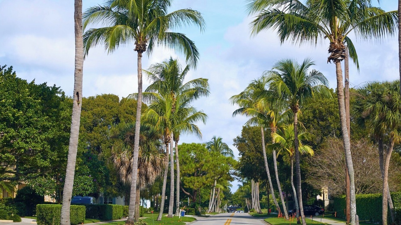 Photo of Others in Palmetto Bay