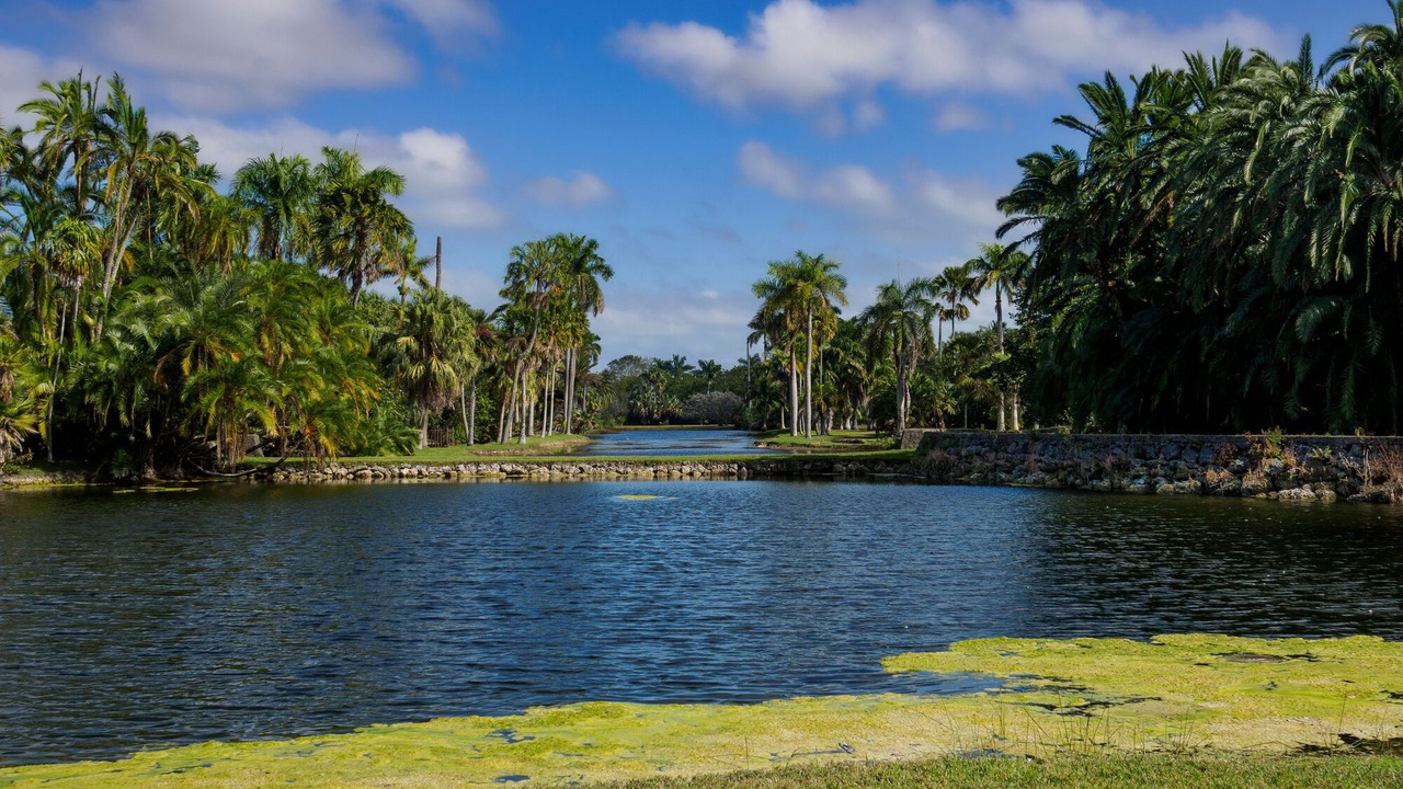 Photo of Others in Palmetto Bay