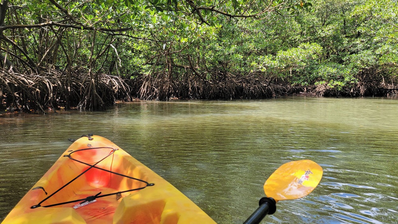 Photo of Others in Palmetto Bay