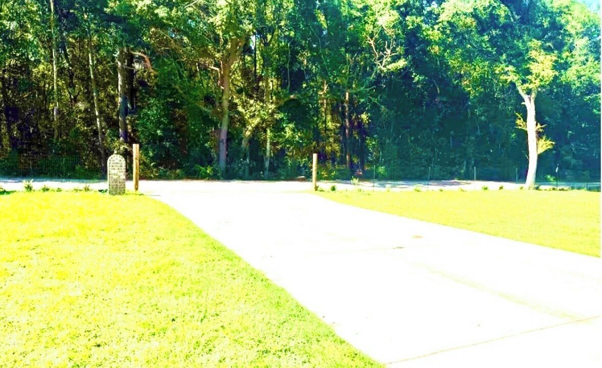 Photo of Others in Milton