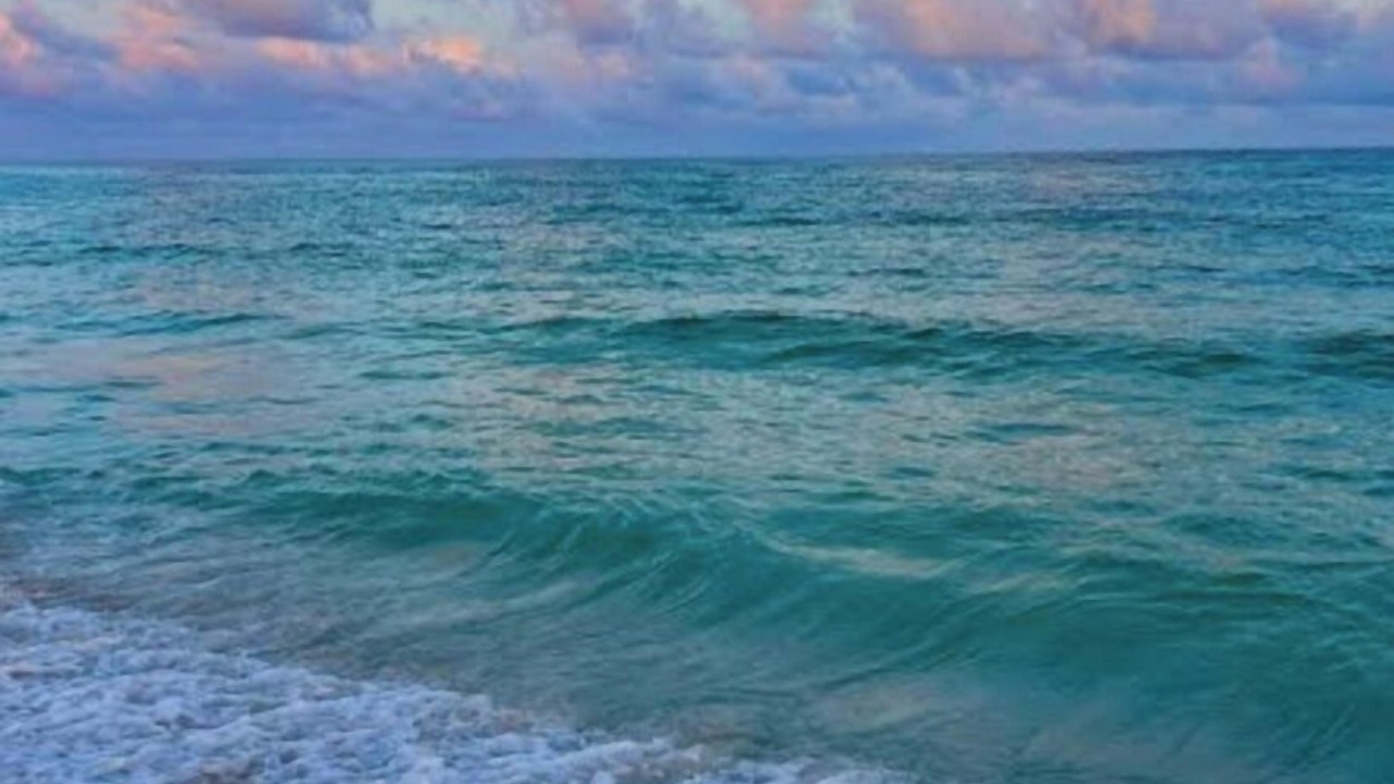 Photo of Others in South Pensacola