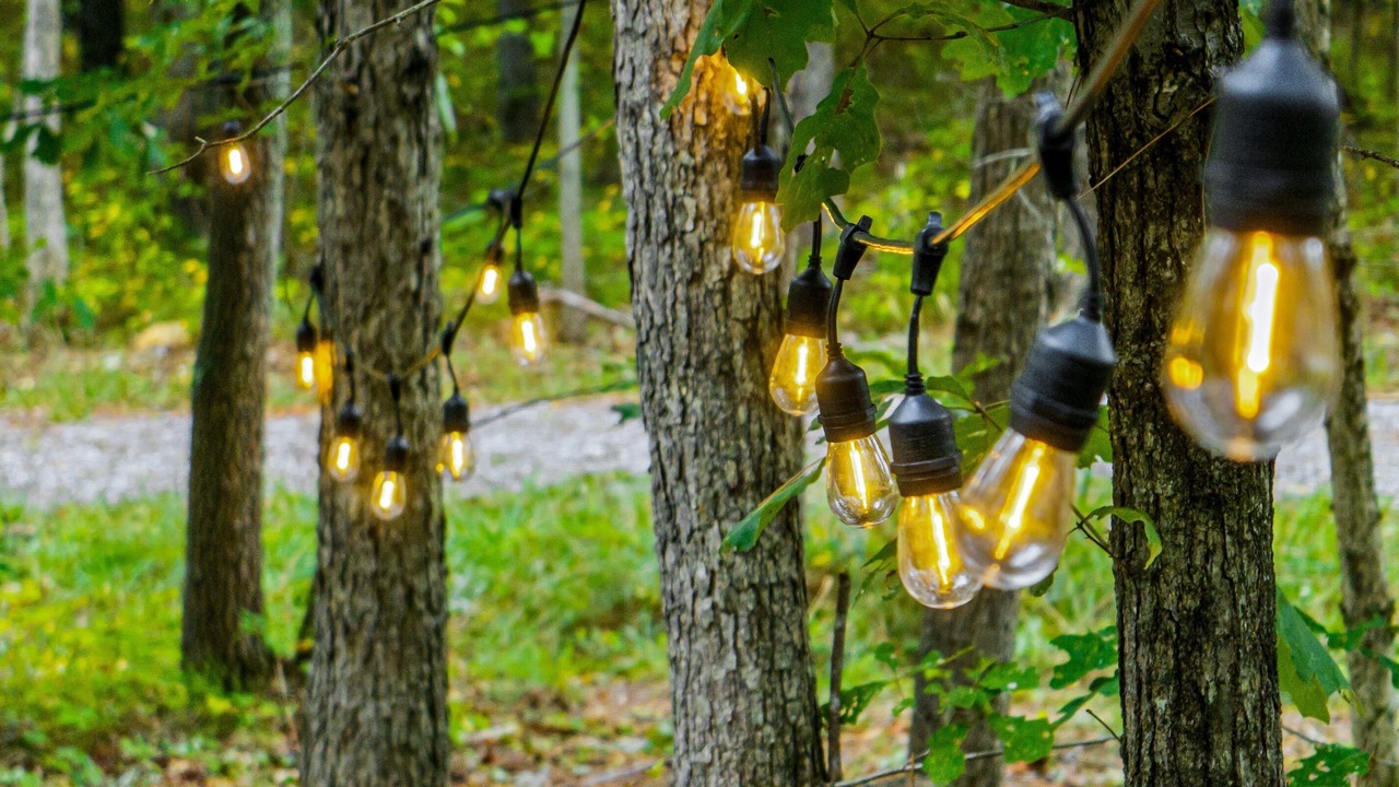 Photo of Outdoor in Mentone