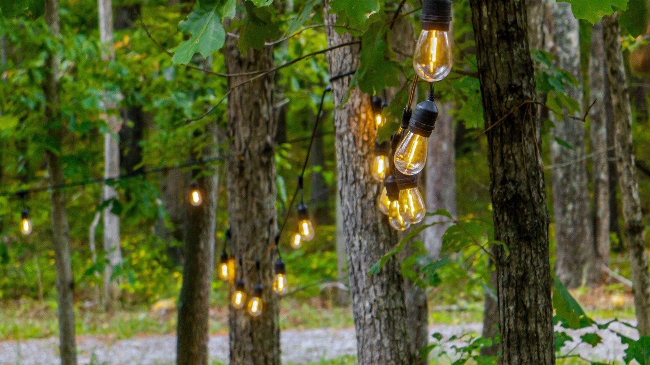 Photo of Outdoor in Mentone