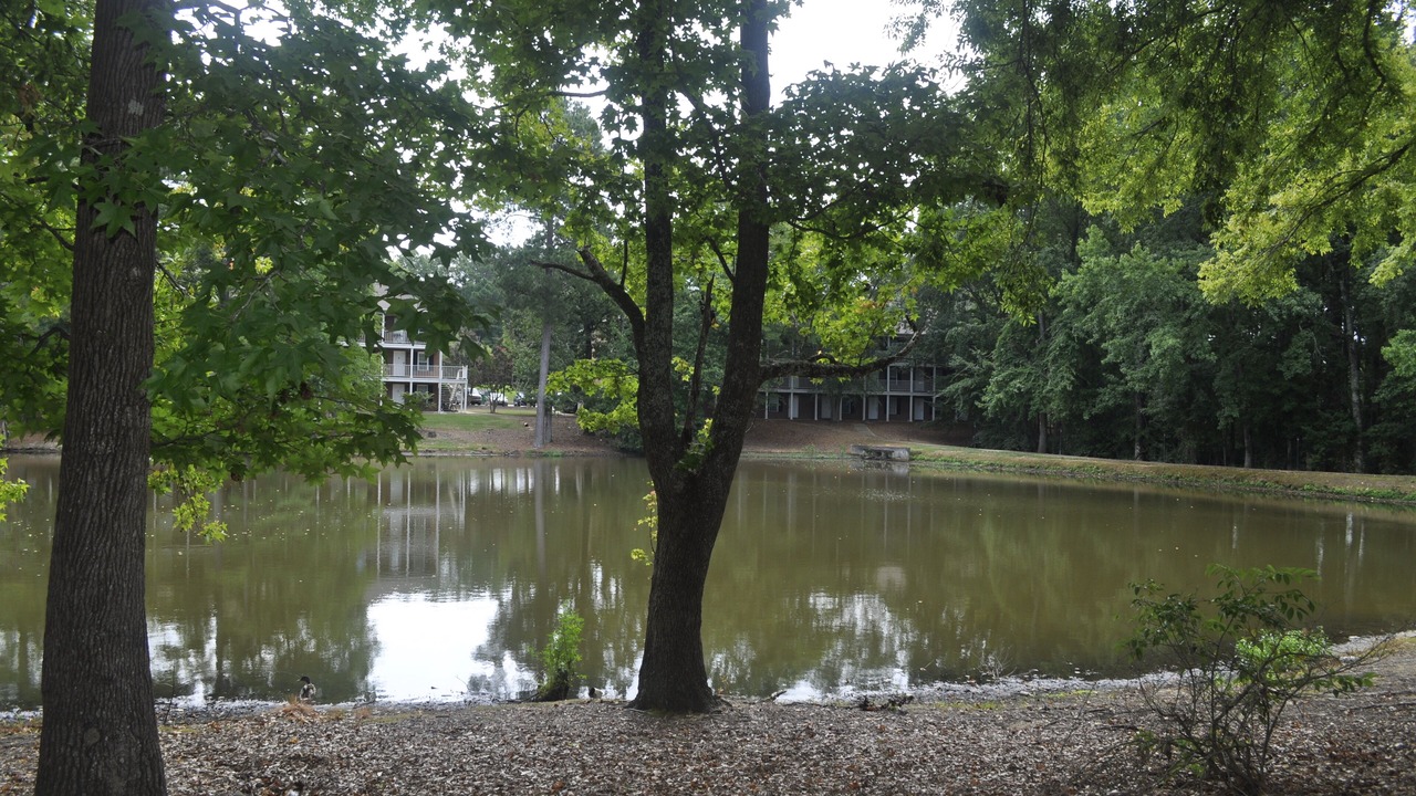 Photo of Outdoor in Auburn