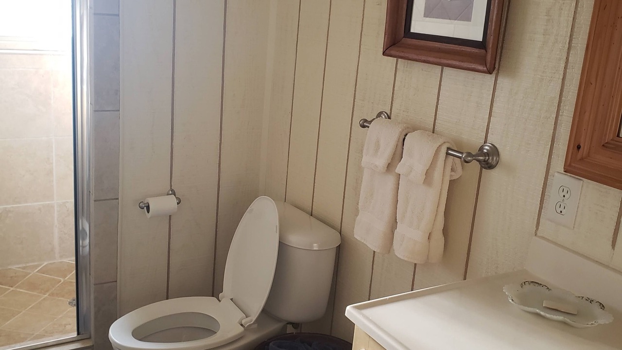 Photo of Bathroom in Little Kowaliga