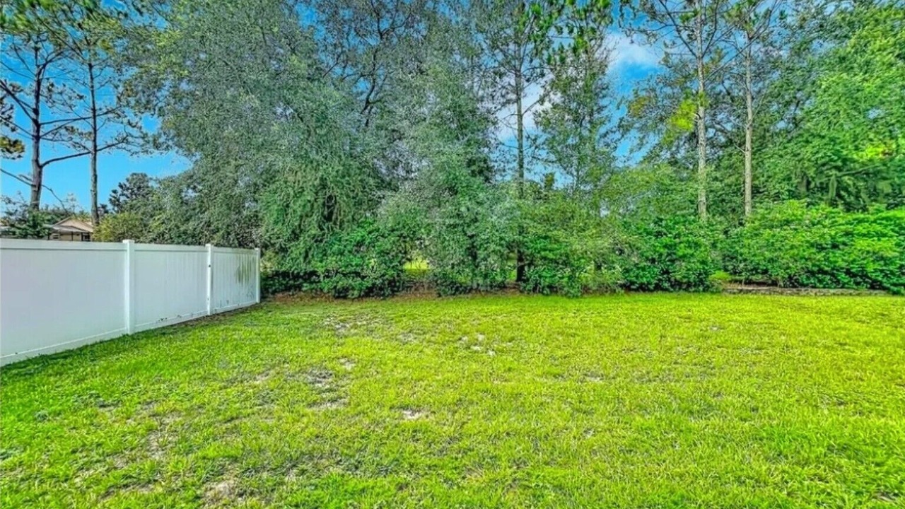 Photo of Outdoor in Orange Tree
