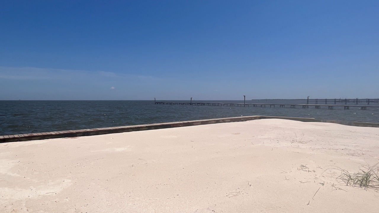 Photo of Others in Fort Morgan Pines