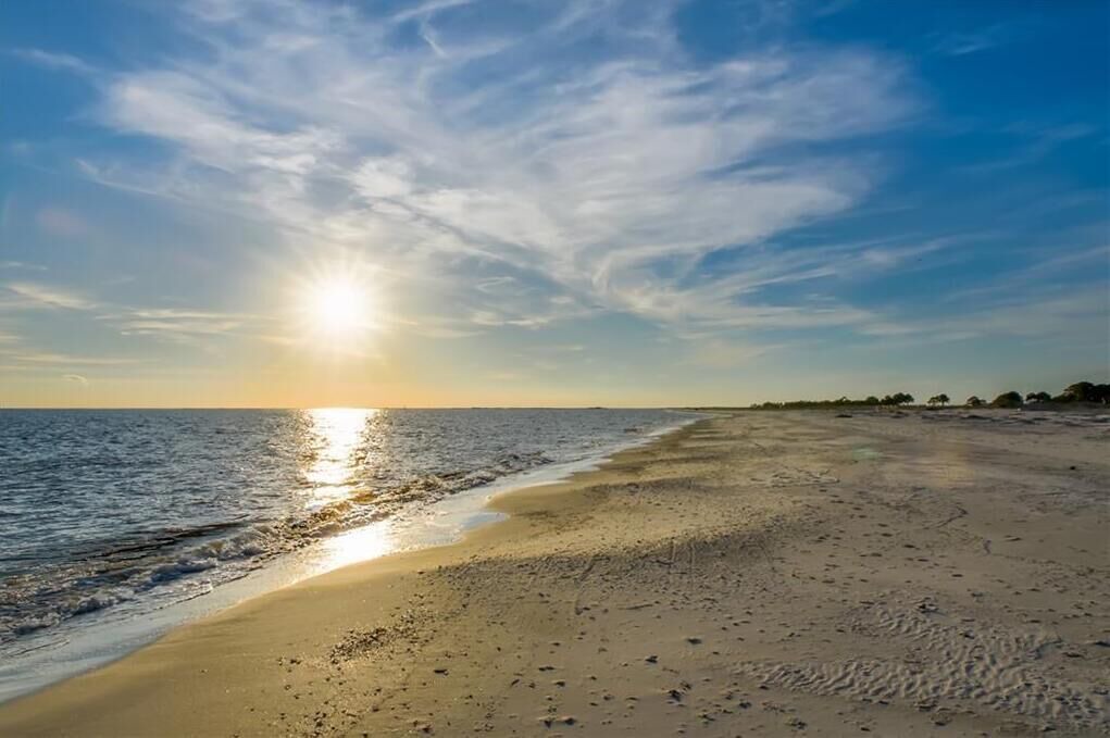 Photo of Others in Dauphin Island