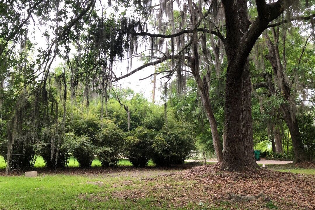 Photo of Outdoor in Abita Springs