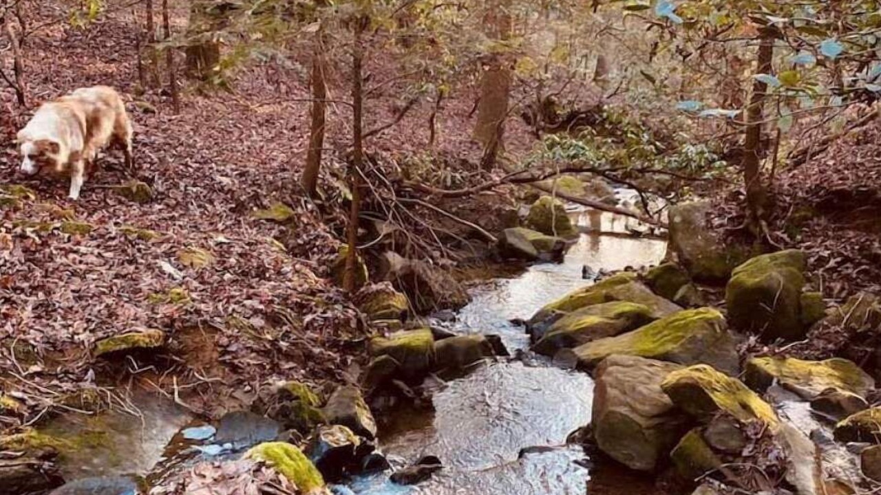 Photo of Outdoor in Vinemont