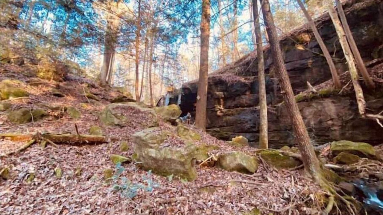 Photo of Outdoor in Vinemont
