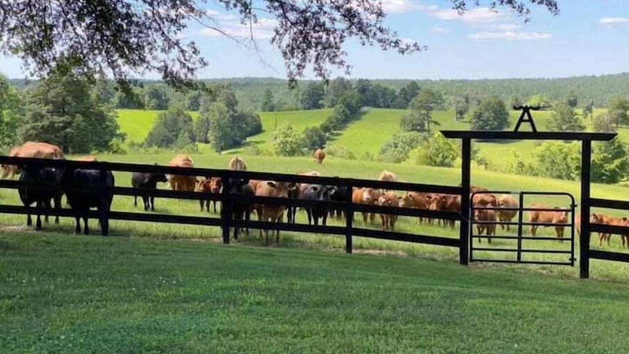 Photo of Outdoor in Vinemont