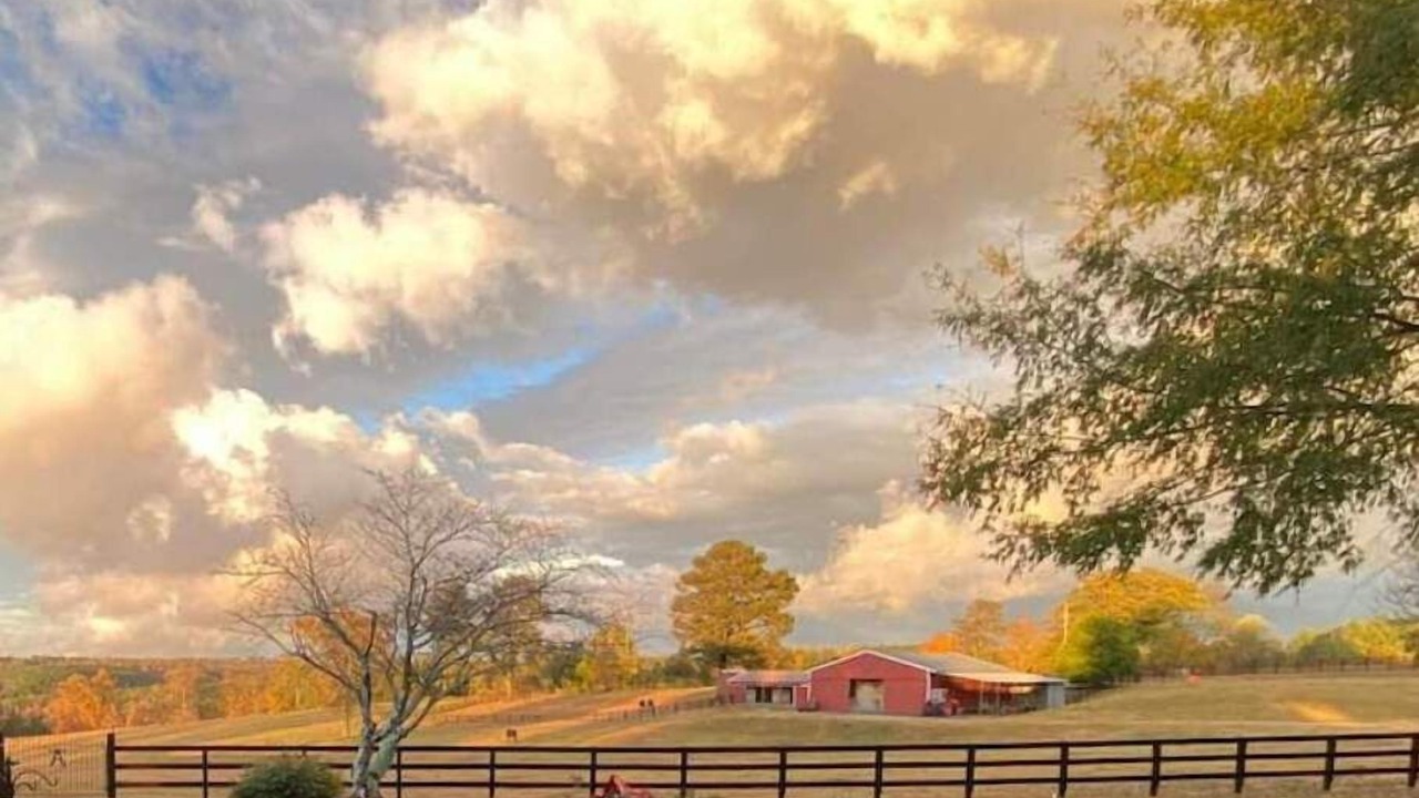 Photo of Outdoor in Vinemont