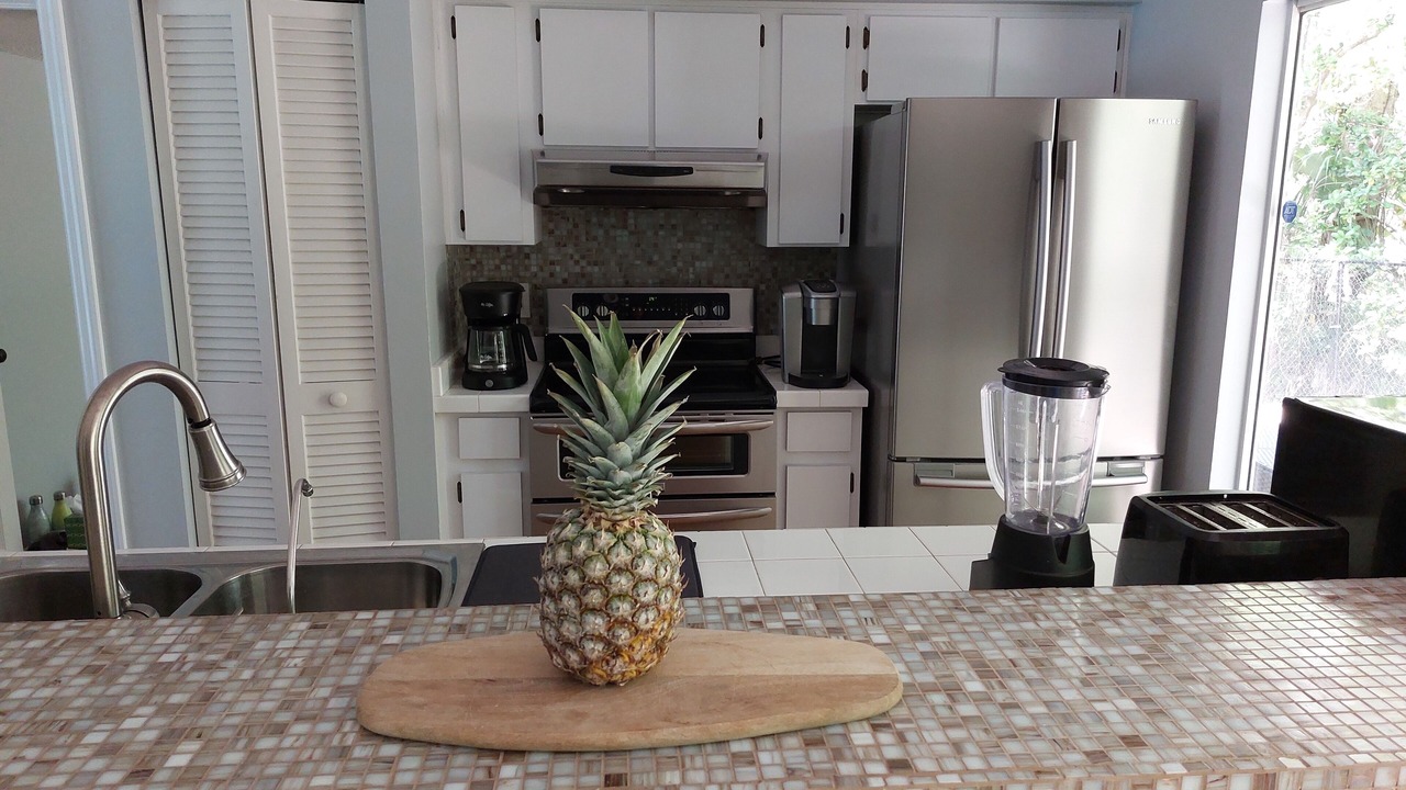Photo of Kitchen in Lake Magdalene