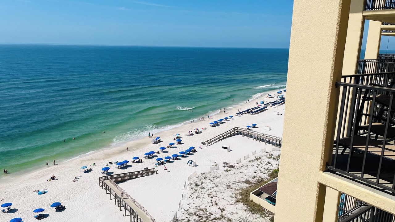 Photo of Others in Orange Beach