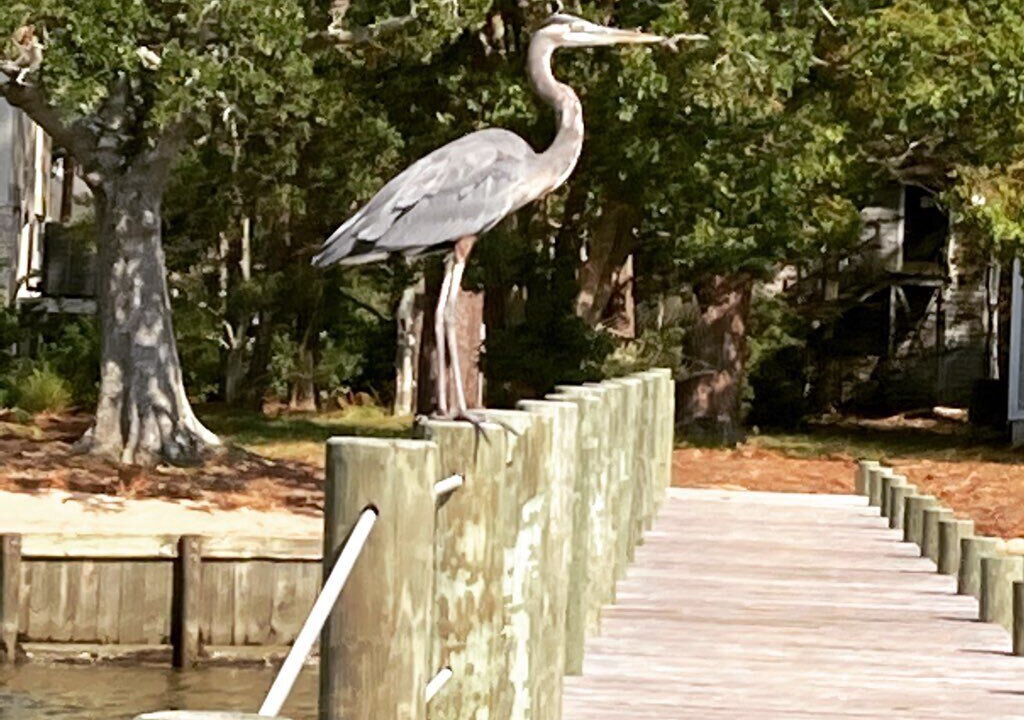 Photo of Others in Fairhope