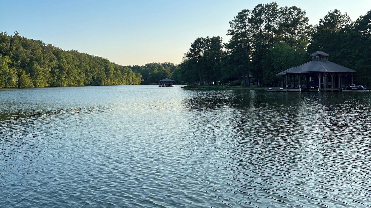 Photo of Others in Ashville