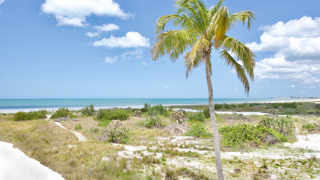 Photo of Others in Mid Island