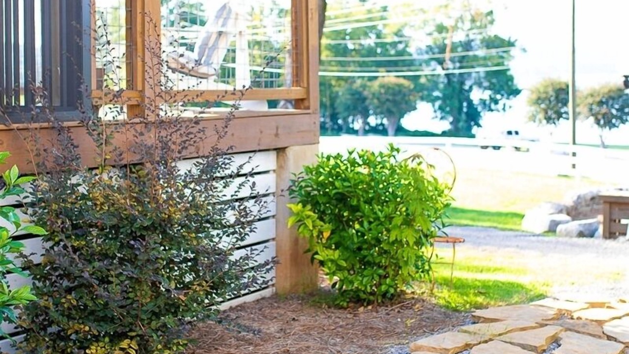 Photo of Outdoor in Guntersville