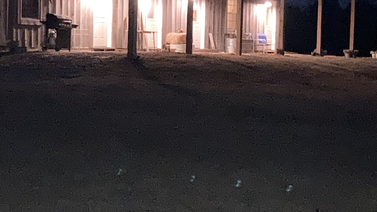 Photo of Outdoor in Vinemont