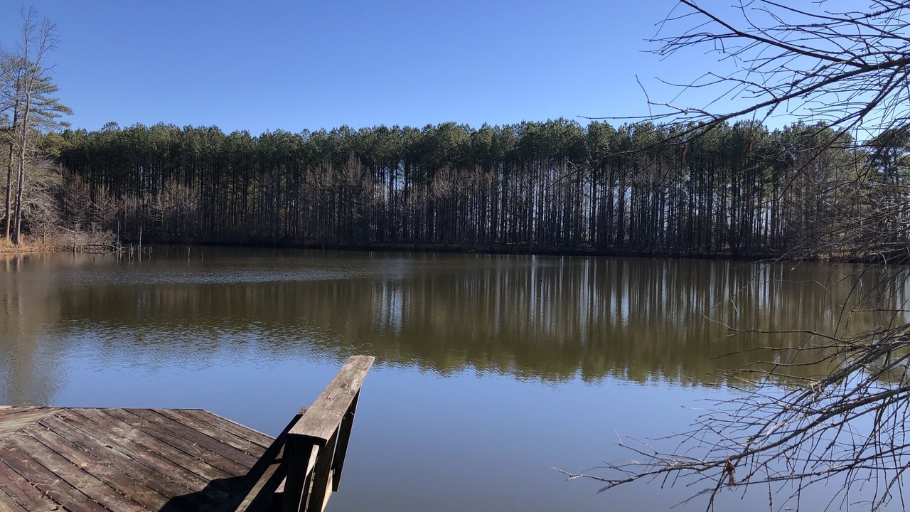 Photo of Outdoor in Colony