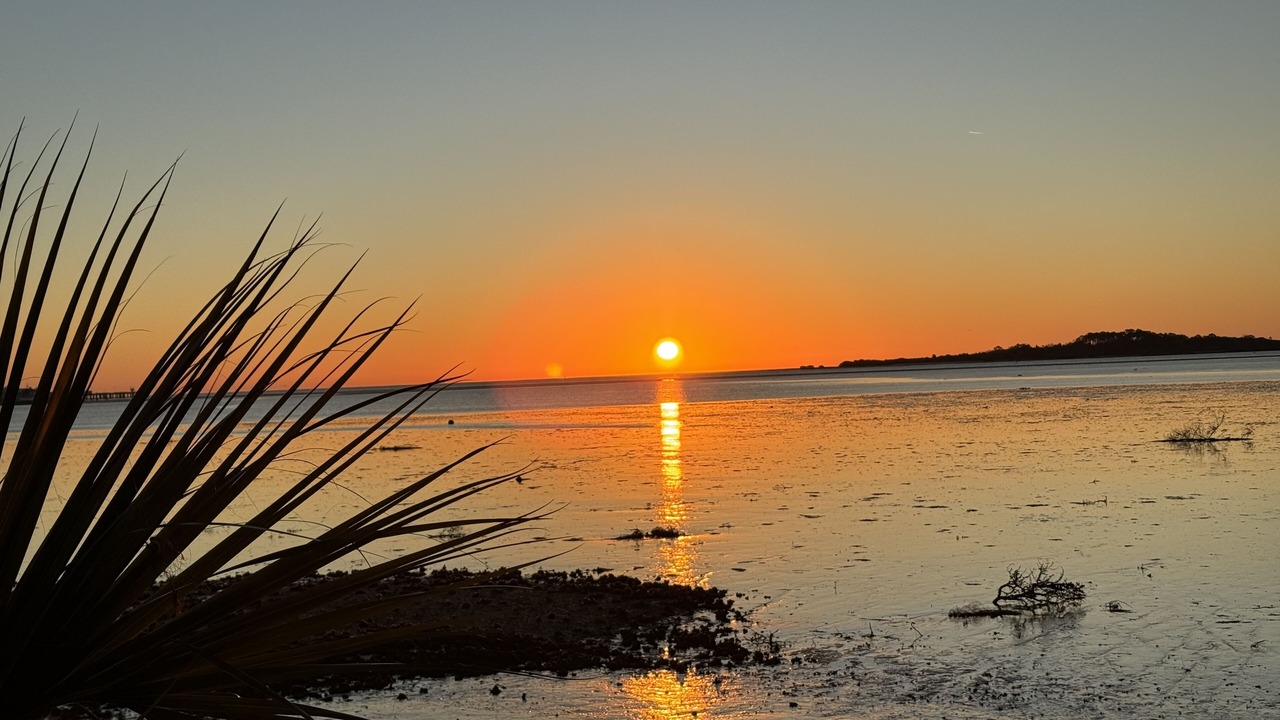 Photo of Others in Cedar Key