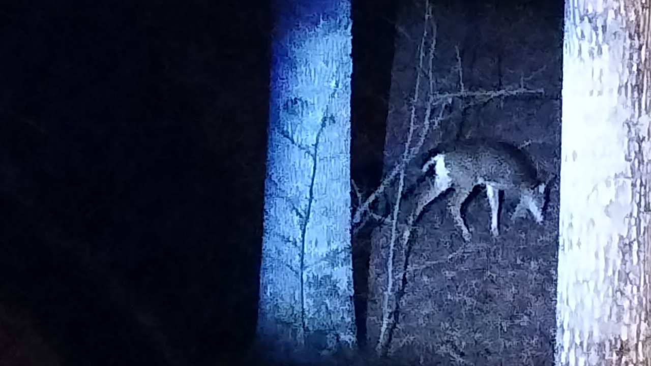 Photo of Others in Ashland