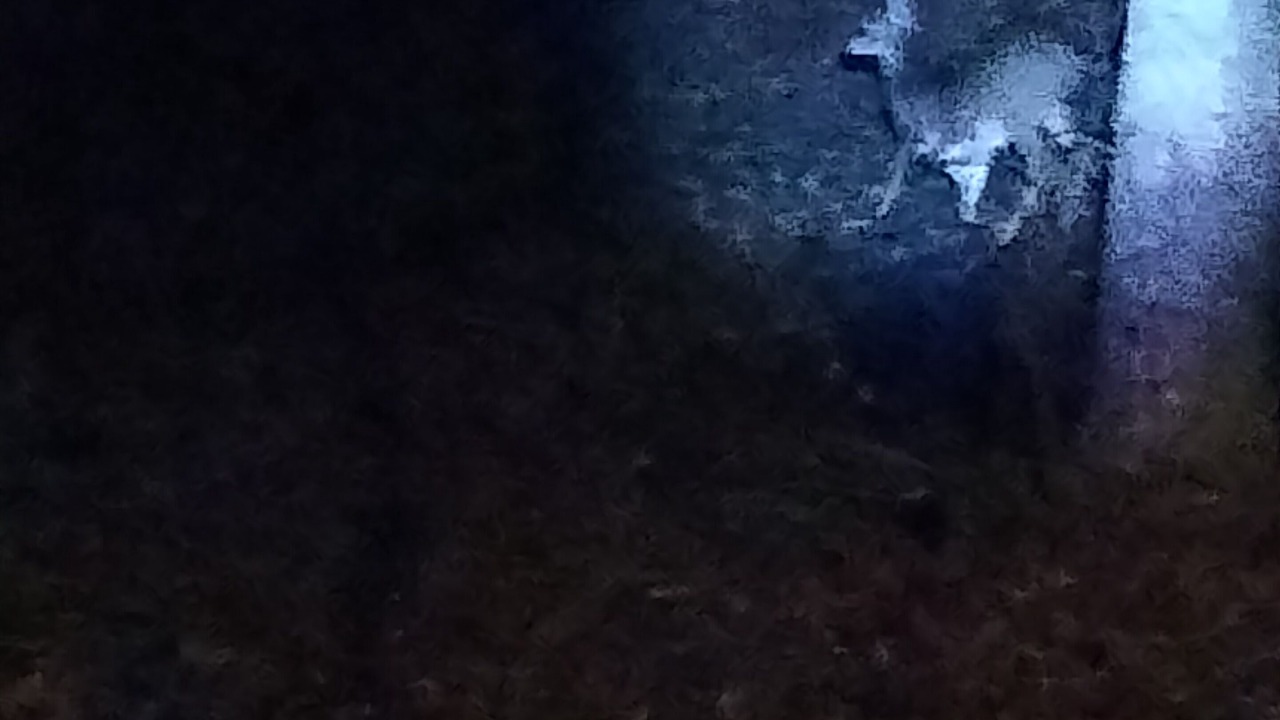 Photo of Others in Ashland