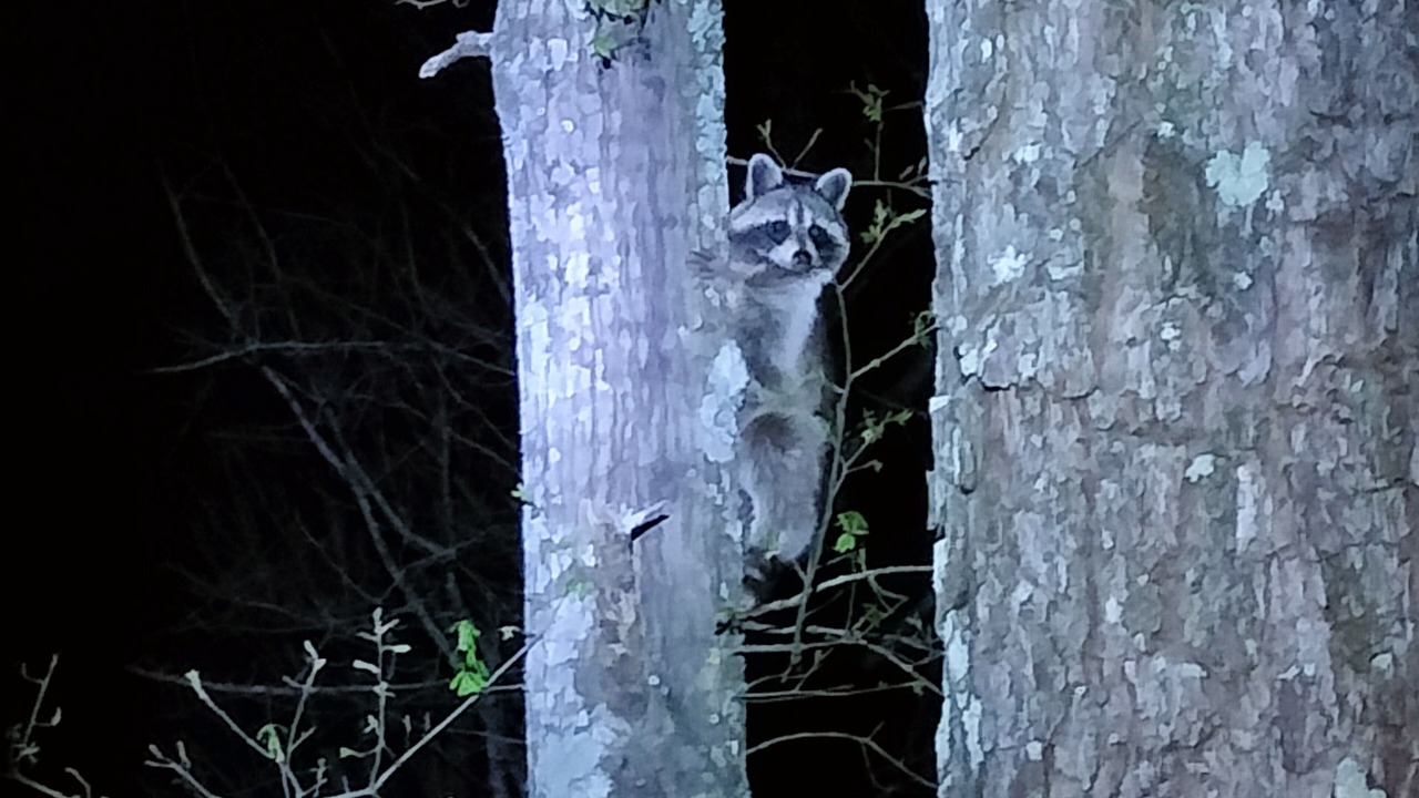 Photo of Others in Ashland