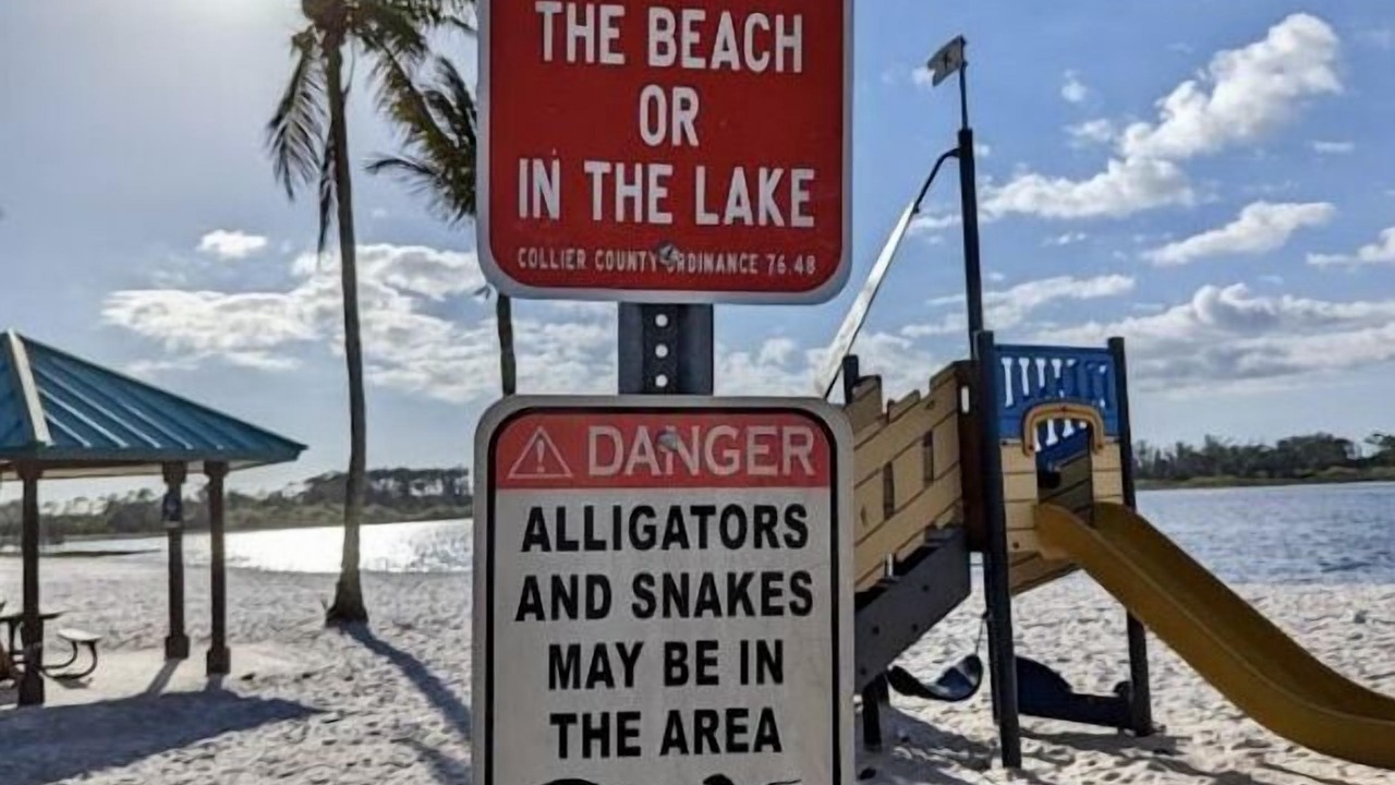 Photo of Others in East Naples