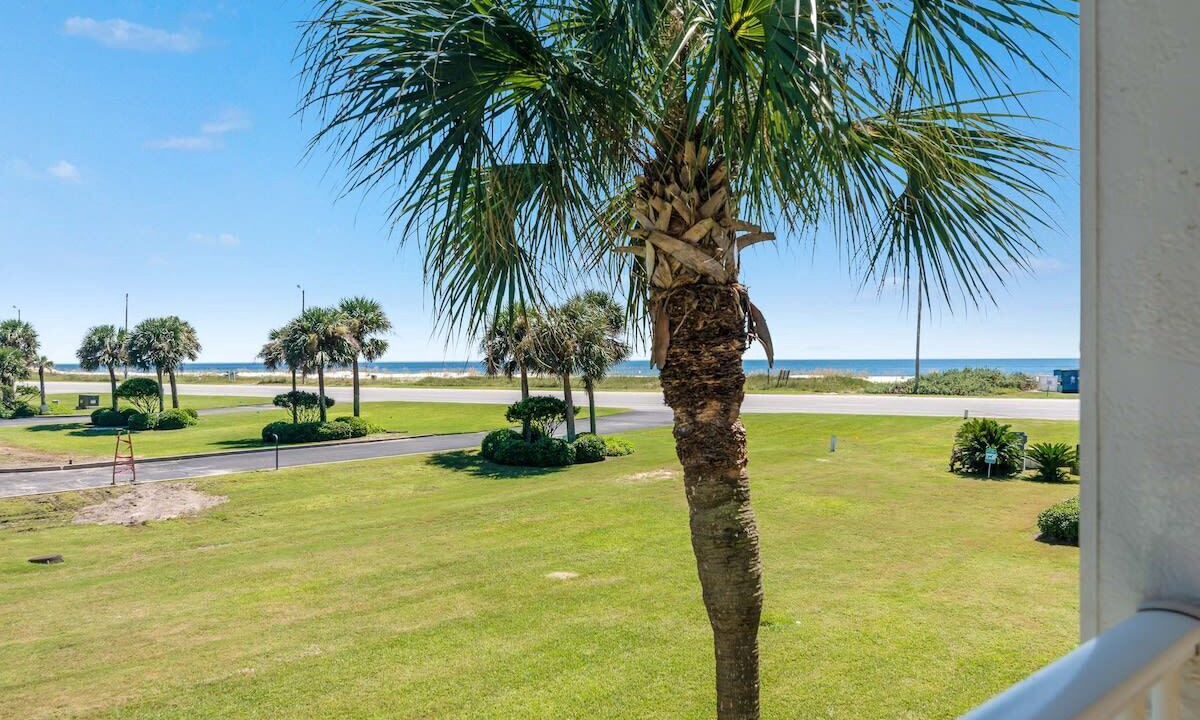 Photo of Others in Orange Beach East
